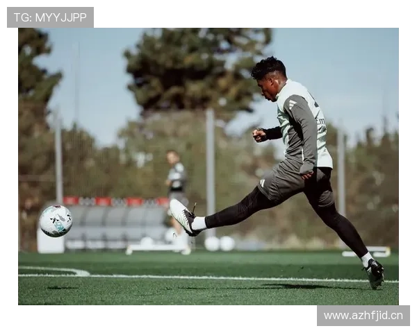 恩德里克在不同战术体系中的角色适配性解析