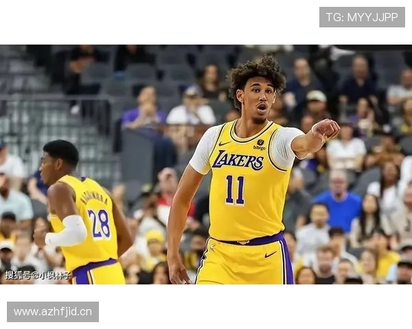 海耶斯低位单打效率提升，改变球队进攻结构